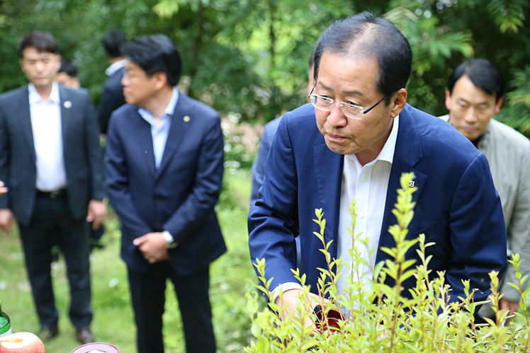 제목 노출 영역입니다 이미지