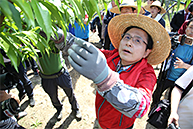 영천 과수농가(복숭아) 적과작업 일손돕기 및 지역 농업인과의 현장 간담회