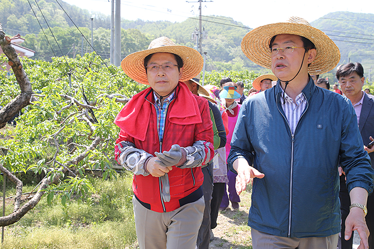 제목 노출 영역입니다 이미지