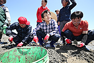 무의도 바지락 채취 일손돕기