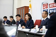 원내대표-중진의원 연석회의