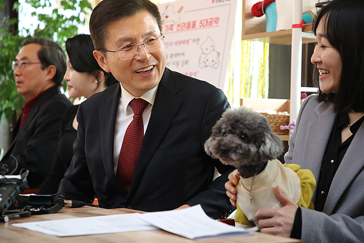 제목 노출 영역입니다 이미지