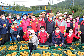 태풍 피해 복구 지원 활동