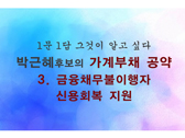 박근혜후보 가계부채공약 '셋' : 금융채무불이행자 신용회복 지원