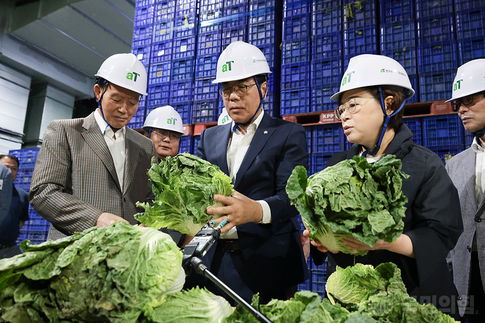 농산물 물가 점검 민생현장 방문