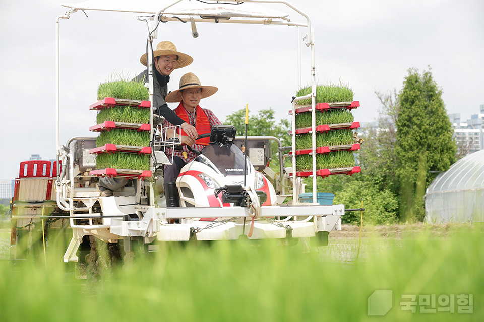 고양시 청년농업인 모내기 및 새참간담회